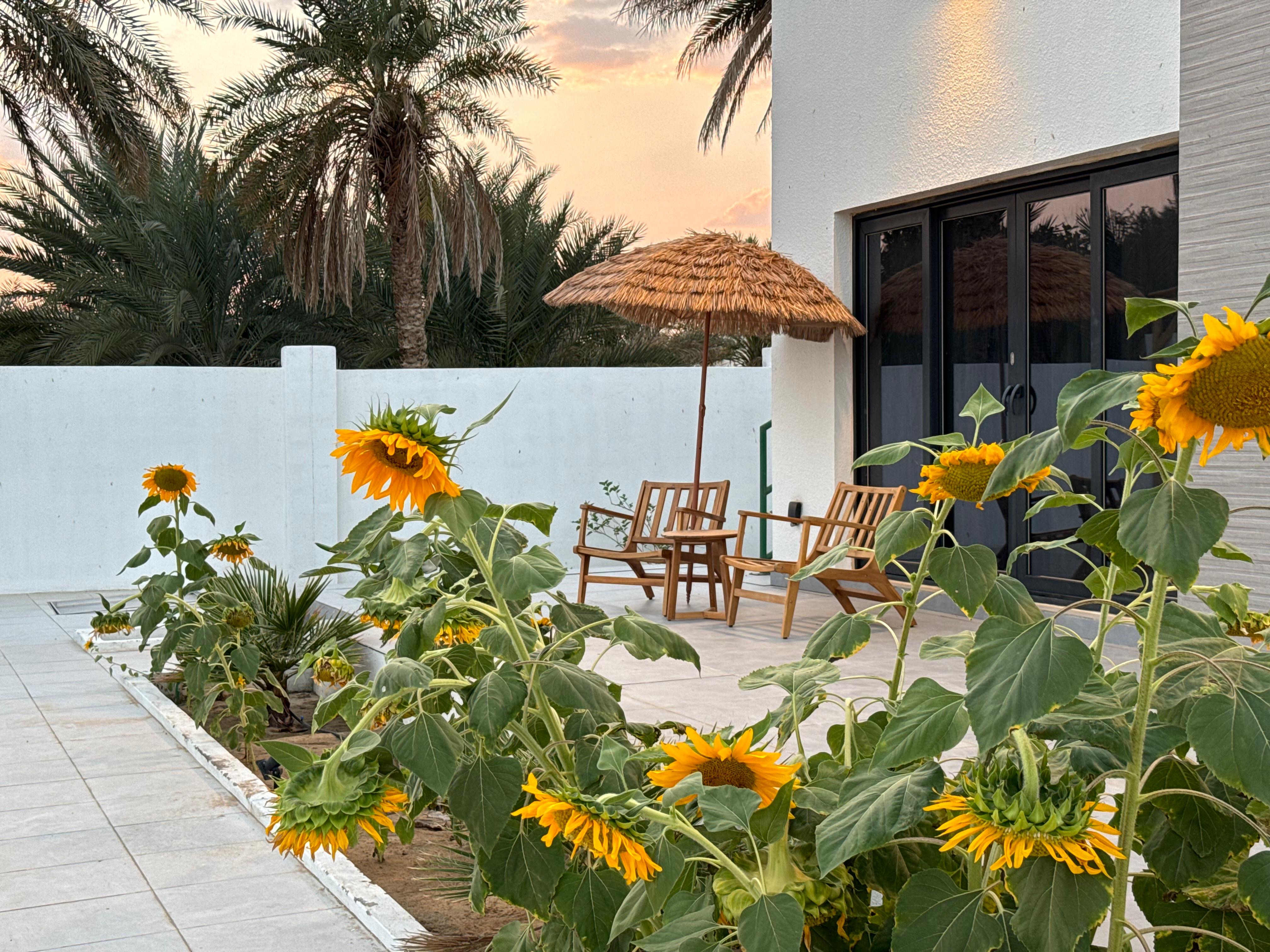 Etlaala Chalet main view