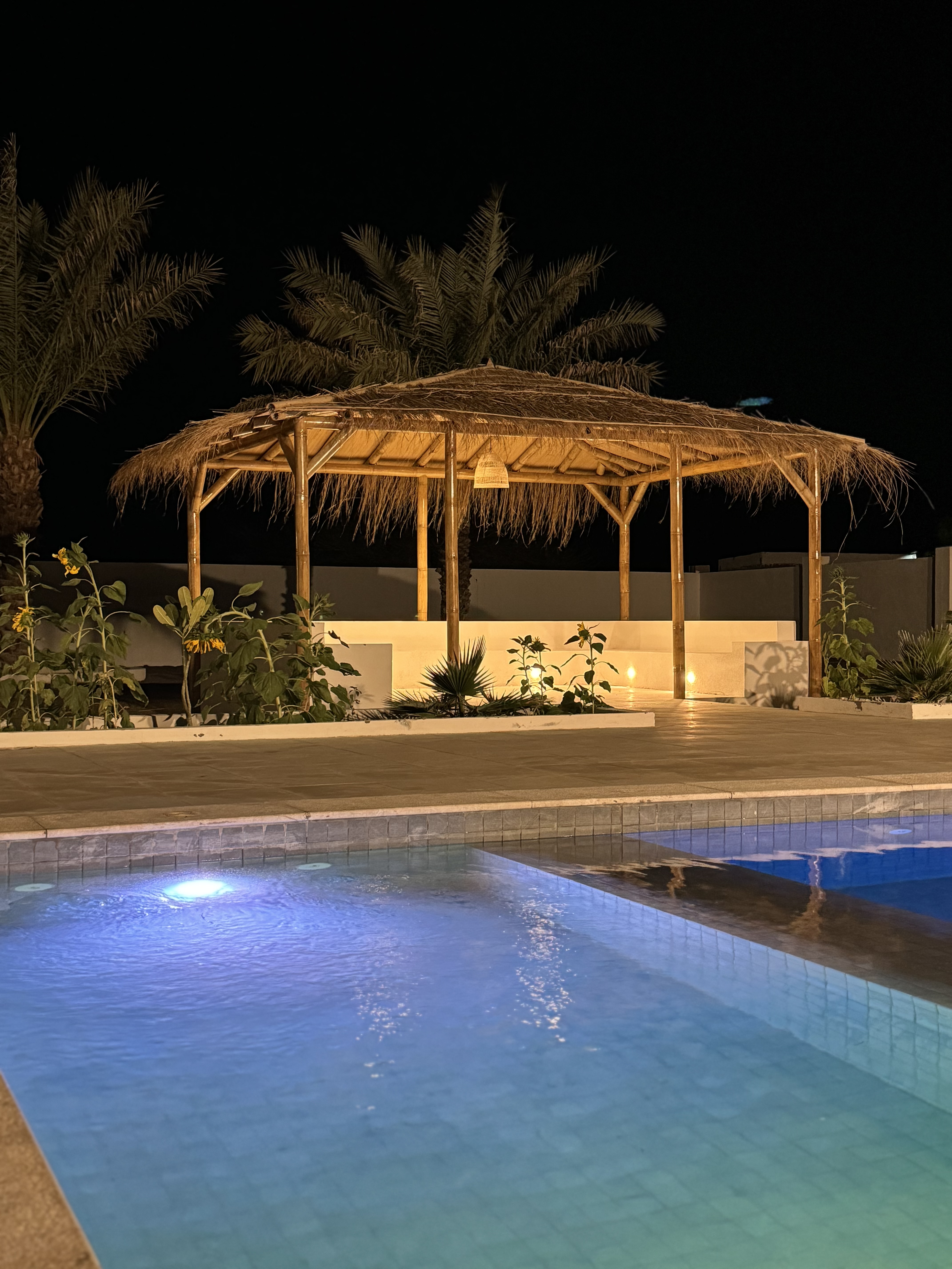 Night atmosphere
