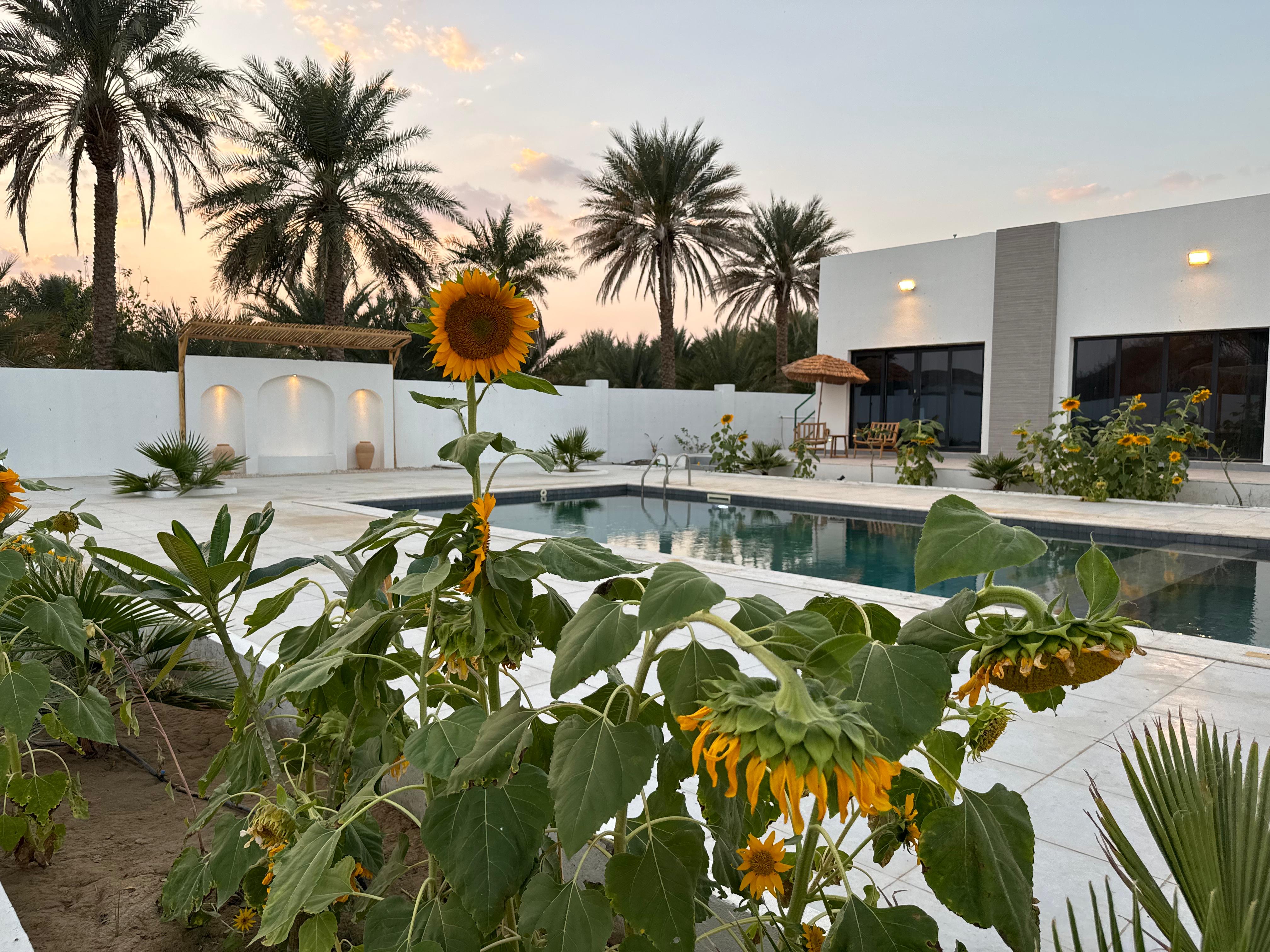 Private pool